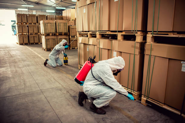 Best Best Pest Control Companies  in Fern Park, FL