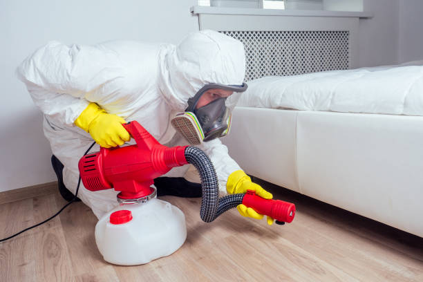 Best Pest Removal Services  in Fern Park, FL