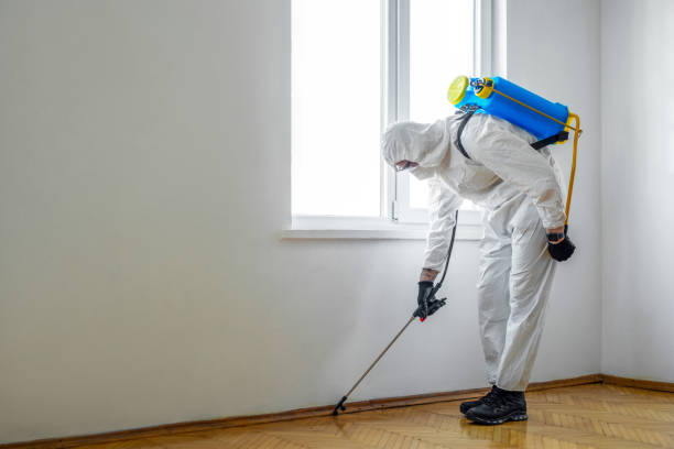 Insect Control in Fern Park, FL