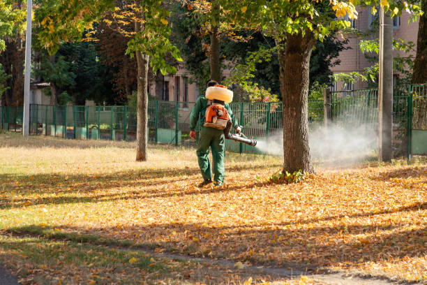 Best Pest Prevention Services  in Fern Park, FL